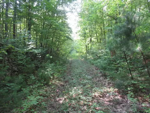 0000 Ole Lake Rd, Cable, WI 54821 photo 11