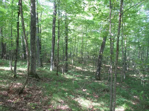 0000 Ole Lake Rd, Cable, WI 54821 photo 12