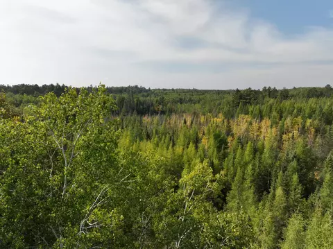 000 Spider Lake Fire Ln, Cable, WI 54821 photo 3