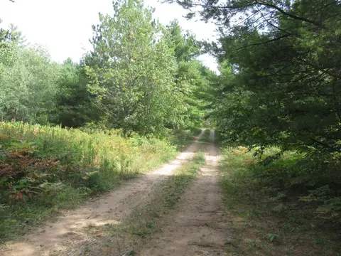 000 Spider Lake Fire Ln, Cable, WI 54821 photo 8