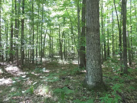 000 County Rd E, Mason, WI 54856