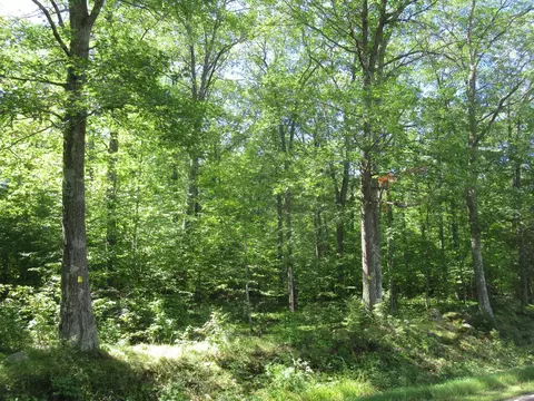 0000 Brilla Rd, Mason, WI 54856