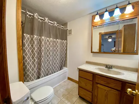 219 Lowell St E, Le Roy, MN 55951 photo 9