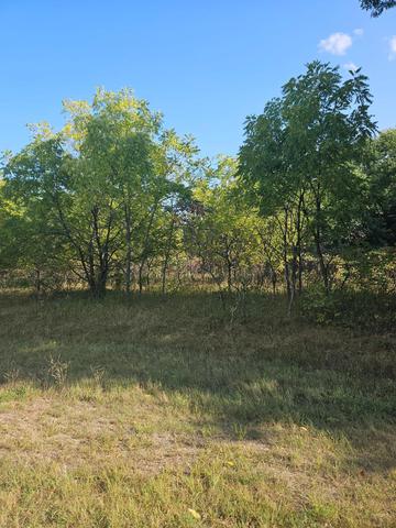 Nnnn 152nd Ave, Wabasha, MN 55981