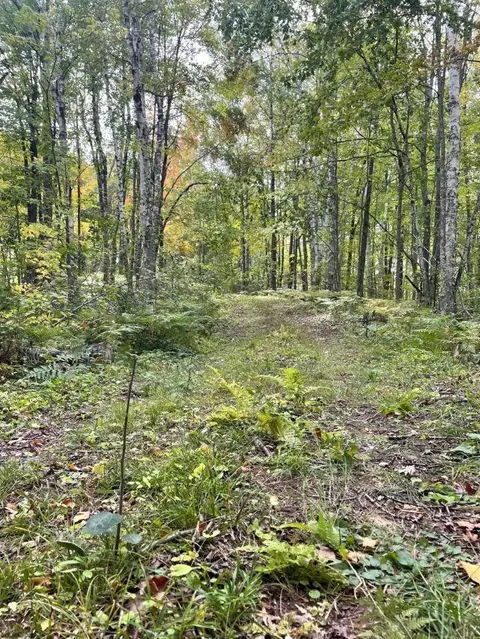 68255 Wolf Crk, Bruno, MN 55712 photo 37