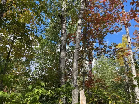 68255 Wolf Crk, Bruno, MN 55712 photo 3