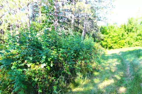 20632 Us Highway 2, Warba, MN 55793 photo 34
