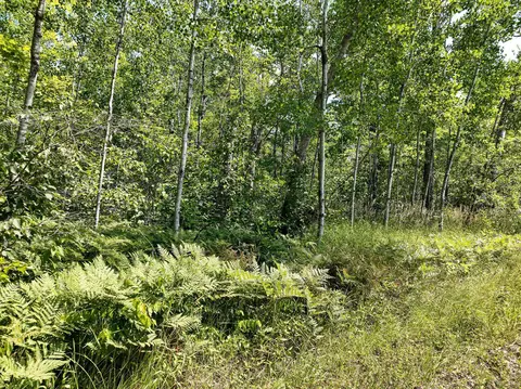 25 Xb Vermilion Rd, Duluth, MN 55804 photo 2