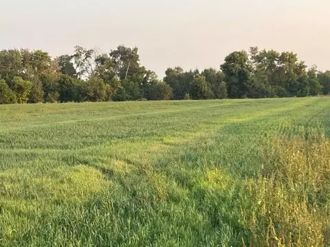 10 Acres 265th Ave, Paynesville, MN 56362