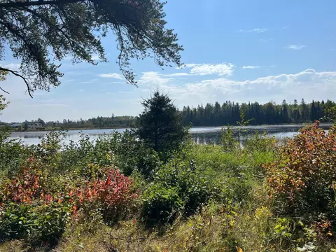 10344 Grant Creek Rd NW, Lammers Twp, MN 56601