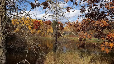 Nnn Oriole Court, Moran Twp, MN 56438