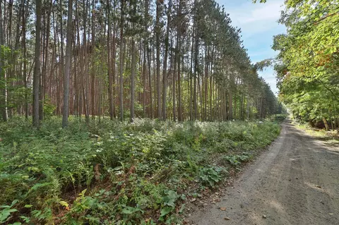 Nnnn Ladyslipper Lane, Deerwood, MN 56444