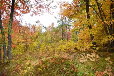 Nnn Enders Road, Markville, MN 55072