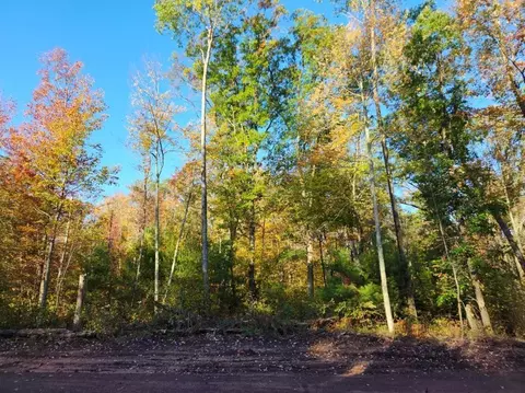 lot6 Marias Way, Webster, WI 54893