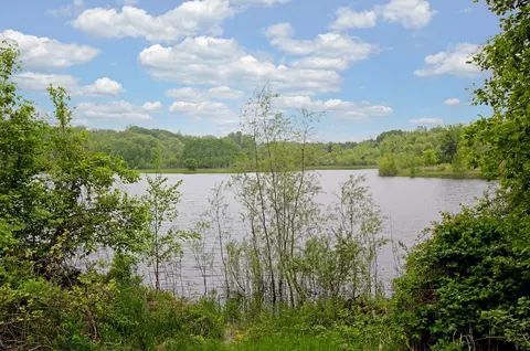 1508 Pinetree Trl, Eagan, MN 55122 photo 76