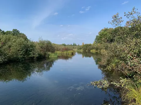 Nn Fawn Lake Road, Mission Twp, MN 56465