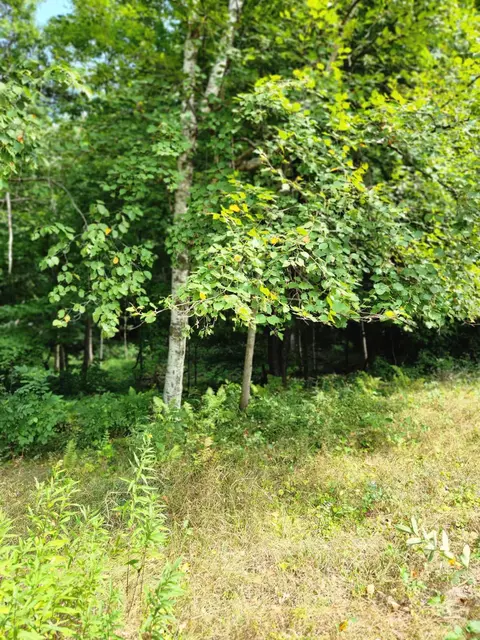 3026 180th St, Frederic, WI 54837 photo 12