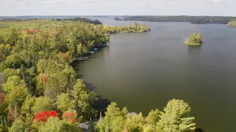 8313 Soderholm Beach Rd, Cook, MN 55723 photo 12