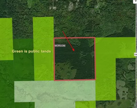 Tbd Sand Creek Road Road, Morcom Twp, MN 55781