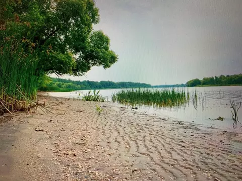 Tbd Ut 140, South Koochiching Unorg. Terr., MN 56623