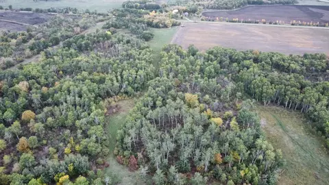 1691 400th Ave, Halma, MN 56729 photo 13