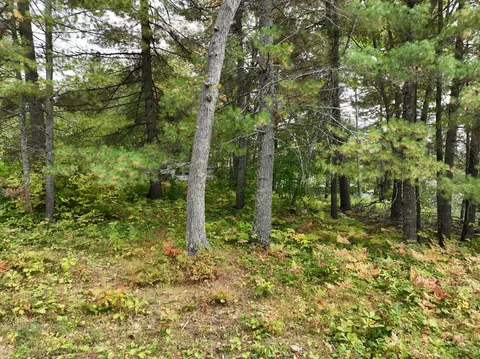 tbd Shingobee Rd NW, Walker, MN 56484 photo 5