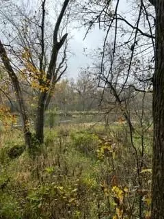 Nnn Collischan Road, Red Wing, MN 55066
