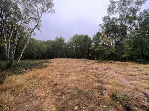 18164 Elm Trl, Nevis Twp, MN 56467