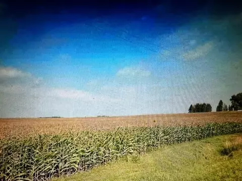 0 710531041364, Quincy Twp, MN 55964