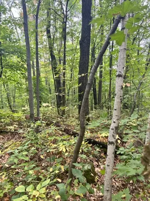 Nnn Wolf Trail, Cushing, MN 56443 photo 12