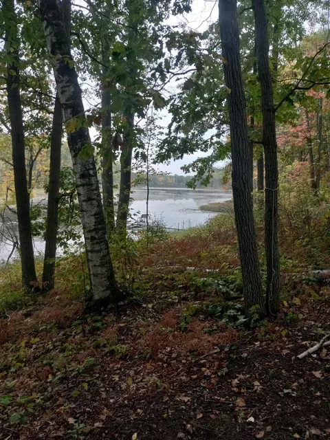 Nnn Wolf Trail, Cushing, MN 56443 photo 4