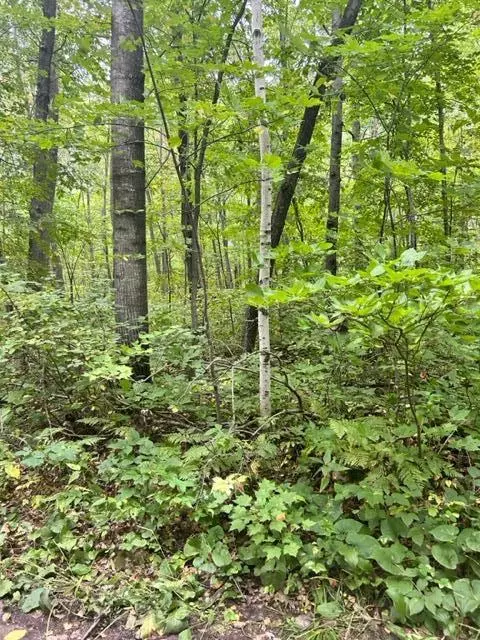 Nnn Wolf Trail, Cushing, MN 56443 photo 11
