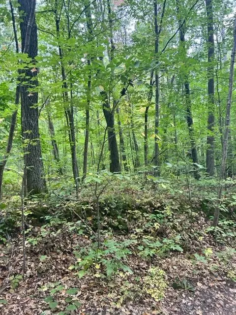 Nnn Wolf Trail, Cushing, MN 56443 photo 15
