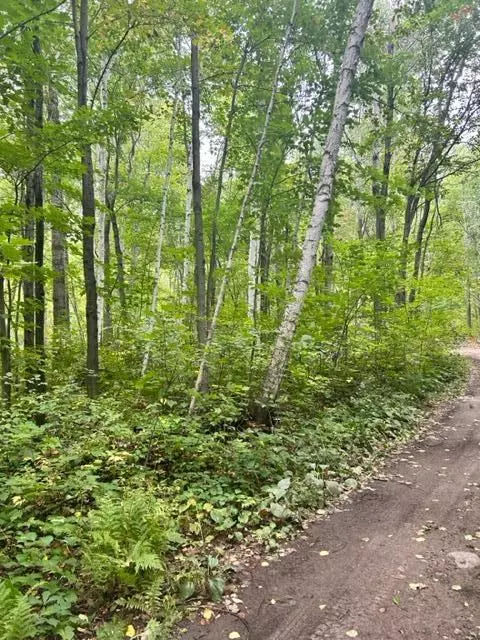 Nnn Wolf Trail, Cushing, MN 56443 photo 10