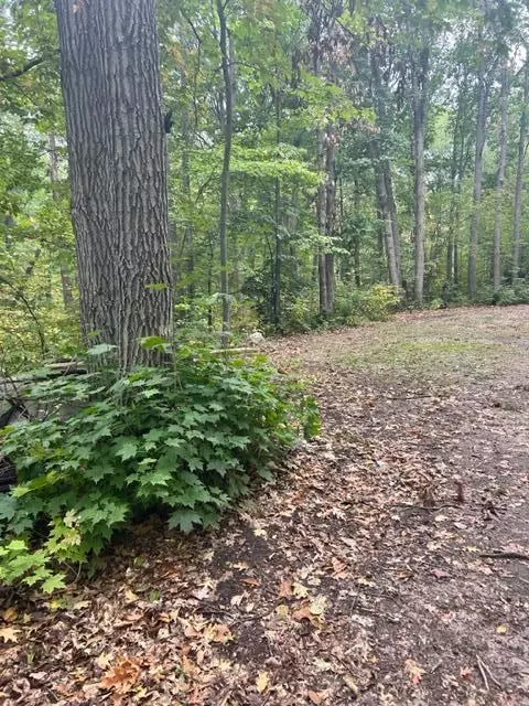 Nnn Wolf Trail, Cushing, MN 56443 photo 17