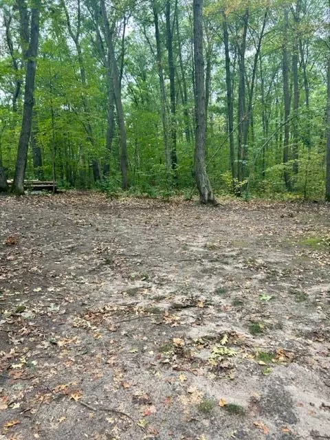 Nnn Wolf Trail, Cushing, MN 56443 photo 18