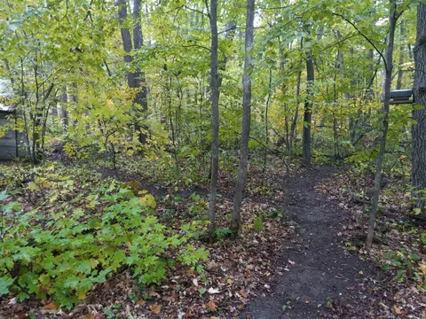 Nnn Wolf Trail, Cushing, MN 56443 photo 7
