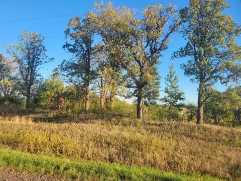 tbd 270th Ave, Pierz, MN 56364