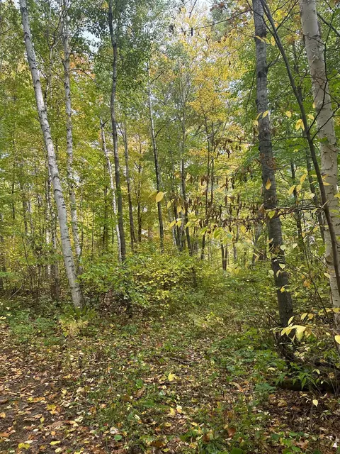 tbd Diamond Dr, Randall, MN 56475 photo 3
