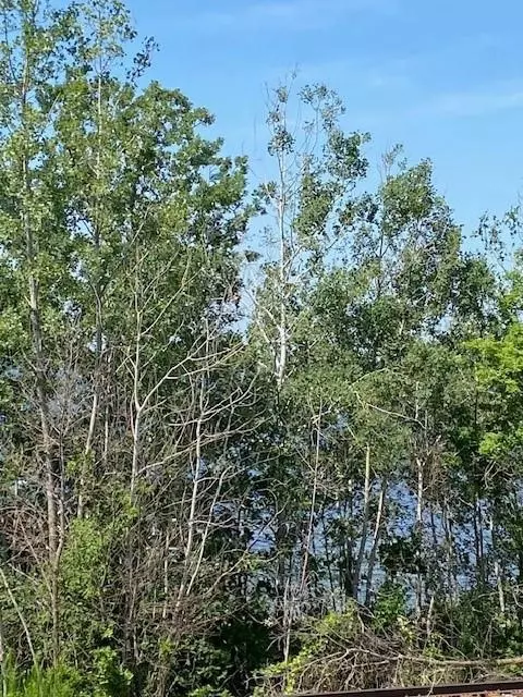 Tbd Gemmel Avenue Sw, Bemidji, MN 56601