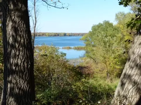 6491 Farwell Ave, Wells Twp, MN 55021 photo 34