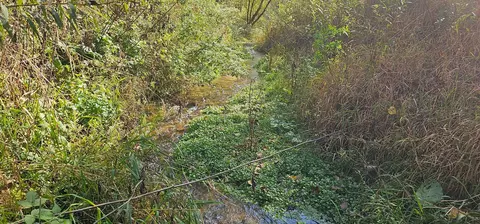 Tbd Cty 27, Rushford, MN 55971