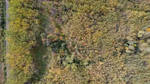 5 Nnn Bluff Creek Trl, Oakland Twp, WI 54874