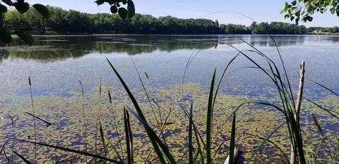 lot4 15th Ave, Alden Twp, WI 54026
