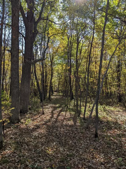 24769 Highway 10, Cushing, MN 56443 photo 35