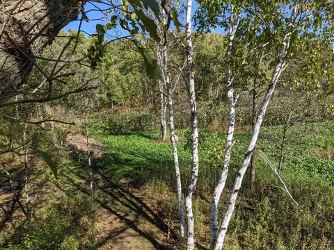 24769 Highway 10, Cushing, MN 56443 photo 43