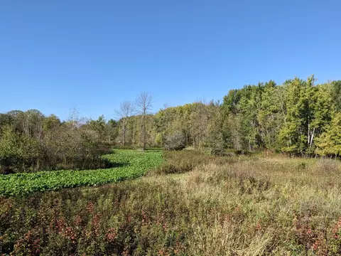 24769 Highway 10, Cushing, MN 56443 photo 46