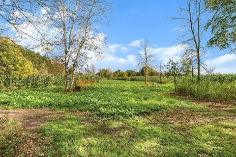 24769 Highway 10, Cushing, MN 56443 photo 31