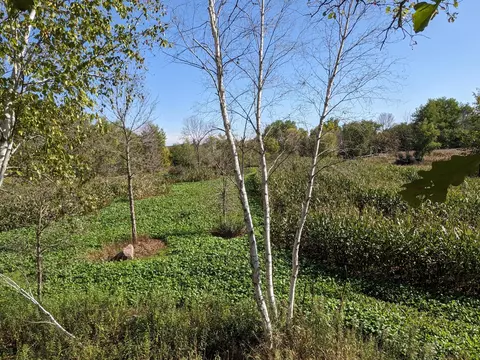 24769 Highway 10, Cushing, MN 56443 photo 42
