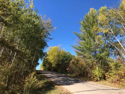 46325 Tee Time, Garrison, MN 56450 photo 13